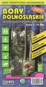 bory_dolnoslaskie-1.jpg